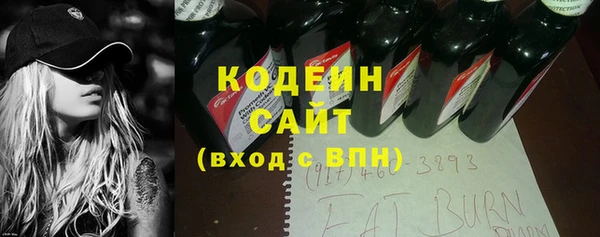 ПСИЛОЦИБИНОВЫЕ ГРИБЫ Михайлов