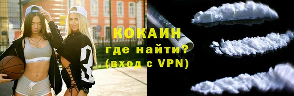 спиды Губаха