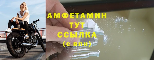 ПСИЛОЦИБИНОВЫЕ ГРИБЫ Михайлов