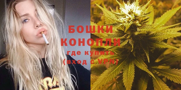 ПСИЛОЦИБИНОВЫЕ ГРИБЫ Михайлов