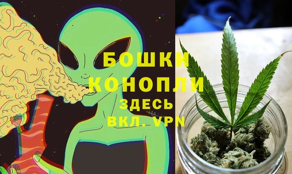 бошки Мегион