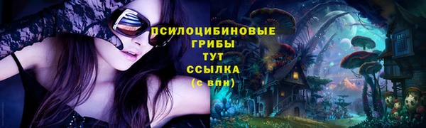 mdpv Медвежьегорск