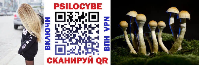 Галлюциногенные грибы Magic Shrooms  Кимовск 