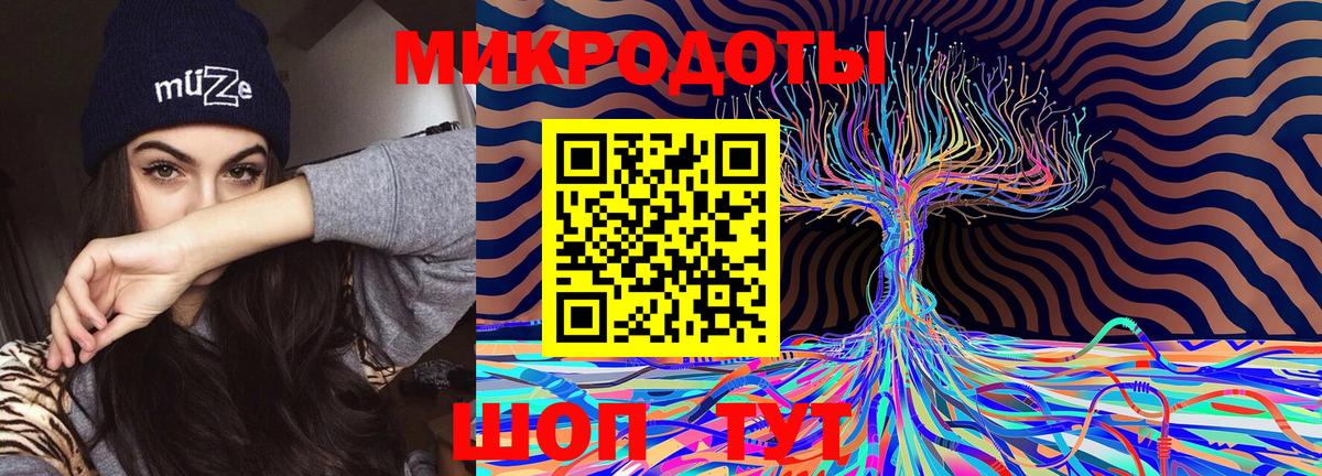 Кимовск  Галлюциногенные грибы Psilocybe  где найти   Вход с VPN 